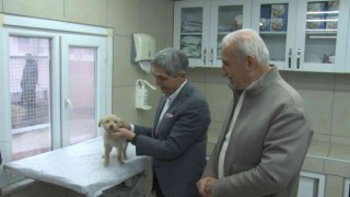 Ümraniyeli gençlerden hayvan bakımevine ziyaret