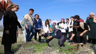 Üniversite öğrencilerine geleneksel tarım ve yenebilir otlar öğretildi