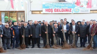 Üreticilerin meyve fidanları Manisa Büyükşehir Belediyesinden