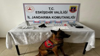 Uyuşturucu madde satıcısının evine narkotik köpeği ‘Bando ile baskın yapıldı