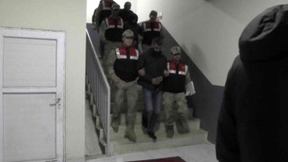 Vartoda köpeklere eziyet eden 3 kişiden 1i tutuklandı