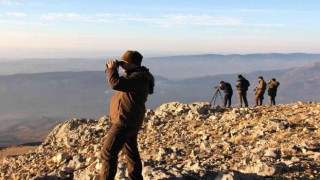 Yaban keçilerinin cinsiyeti, yaşı ve türleri belirleniyor