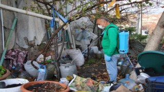 Yalova Belediyesinden larva noktalarına ilaçlama