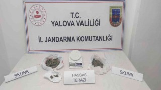 Yalovada uyuşturucu operasyonu: 2 gözaltı