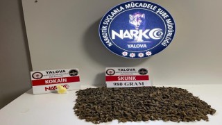 Yalovadaki uyuşturucu operasyonlarında 3 gözaltı