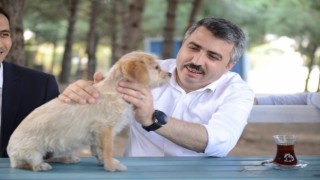 Yıldırımın sessiz sakinlerine 7-24 hizmet