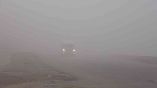 Yüksekovada yoğun sis: Görüş mesafesi 5 metreye düştü