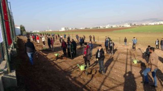 15 Temmuz şehitleri anısına 251 zeytin fidanı dikildi