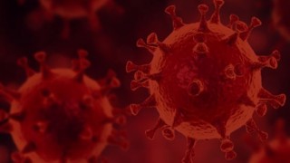 3 sene önceki antikorlarımız mutasyonlu virüsleri tanımıyor