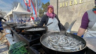 7den 70e binlerce kişi Hamsi Festivalinde buluştu