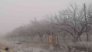 Adıyamanda kırağı her yeri beyaza bürüdü