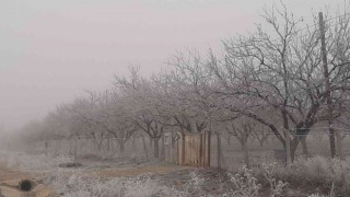 Adıyamanda kırağı her yeri beyaza bürüdü