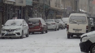 Ahlatta beklenen kar yağışı başladı