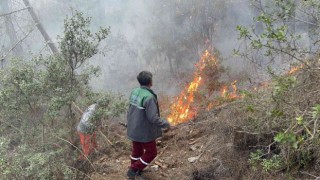 Alanyada orman yangınında yaklaşık 10 dönüm zarar gördü