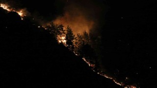 Alanyadaki orman yangınına yakın yerleşim yeri boşaltıldı