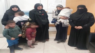 Altınova zabıtasından dilenci operasyonu