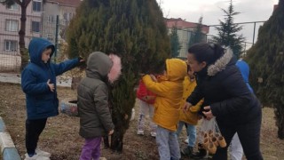 Anaokulu öğrencileri sokak hayvanlarının yem ve su ihtiyacını karşıladı