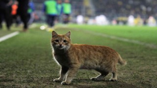 Ankaragücü, Beşiktaş maçında beklenmedik misafir