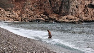 Antalyada bahar ve kış birarada