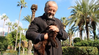 Antalya’da bir kadının kediye tekme atması güvenlik kamerasına yansıdı