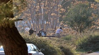 Antalyada ormanlık alanda kafası ve kolları olmayan erkek cesedi bulundu