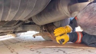 Aracın alt kısmında mahsur kalan kediyi itfaiye ekipleri kurtardı