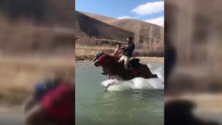 Ayağına su yılanı değen cirit atı yıllarca sırtında taşıdığı sahibini Çoruhun serin sularına attı