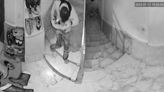 Ayakkabıları önce numarasına bakıp sonra koklayarak çaldı