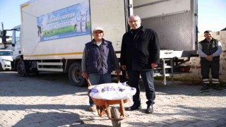 Aydın Büyükşehir Belediyesinden küçük aile işletmelerine yem desteği sürüyor