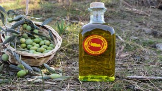 Aydın Ticaret Borsası, Coğrafi İşaret Tescilli Aydın Memecik Zeytinyağını Gaziantepte tanıtacak