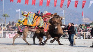 Aydında yılın ilk güreşi sessiz yapıldı