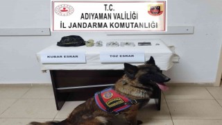 Bahçeye gömülü uyuşturucu ele geçirildi