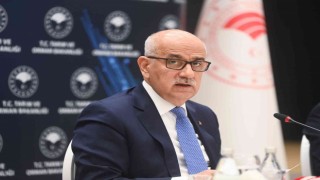 Bakan Kirişci: Sahipsiz hayvanlar konusunda yol haritasının son şeklini vereceğiz