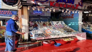 Balık tezgahlarında hamsi bolluğu yaşanıyor