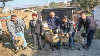 Başkan Çerçioğlu koyunları telef olan üreticiye destek oldu