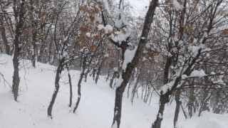 Batman?da 80 köy yolu kar yağışı nedeniyle ulaşıma kapandı