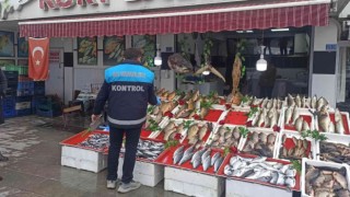 Beyşehirde balık satış noktalarında denetim