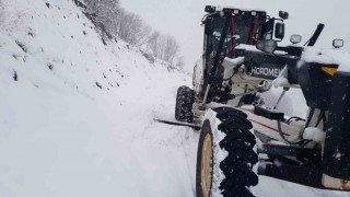 Bingölde 138 köy yolu ulaşıma kapandı