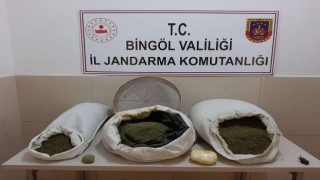 Bingölde 24 kilo esrar ele geçirildi: 1 gözaltı