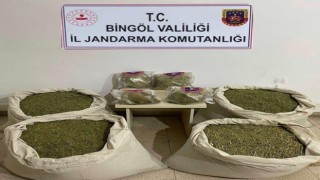 Bingölde Kökünü Kurutma Operasyonu: 145 kilo esrar ele geçirildi