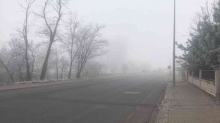 Bingölde yoğun sis etkili oldu