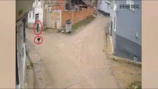 Bir köpeği daha vurmuş