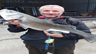 Bırakma oltayla 7 kiloluk levrek yakaladı