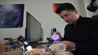 Bitliste tarihe ışık tutacak milyonlarca yıllık fosil bulundu
