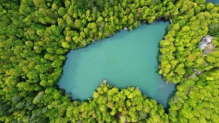 Bolu 1 milyon 22 bin 693 turisti ağırladı