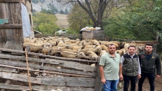 Bolu'da 70 aileye 4 milyon 600 bin TL destek kredisi verildi