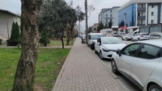 Bu kez saldıran köpek değil, vatandaş oldu