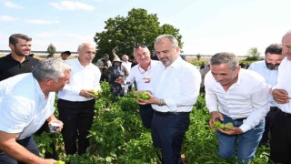 Bursa Büyükşehirin çiftçiye desteği sürüyor