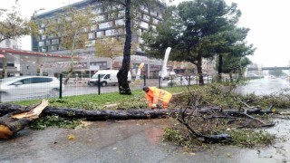 Büyükşehirin fırtına mesaisi