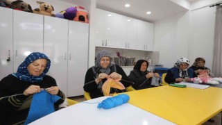 Büyükşehirin Merkezi, Ulu Çınarların İkinci Yuvası Oldu